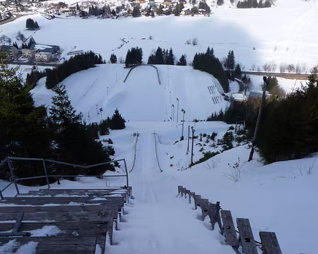 010 Qui veut s'élancer du haut du tremplin ?