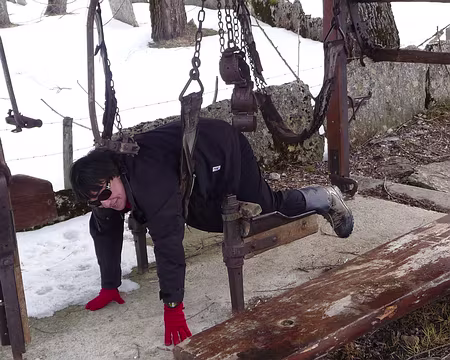 014 Appareil à ferrer les vaches