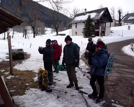 016 Tout le monde photographie la vache