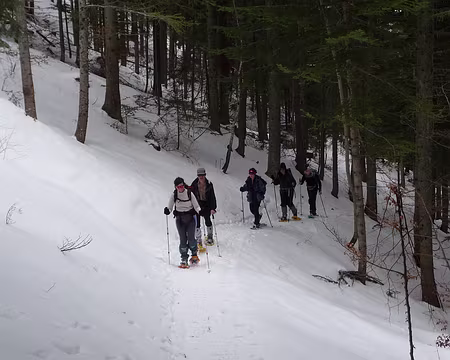 018 Montée à travers la forêt