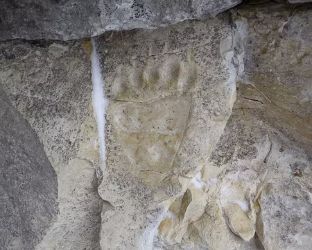 022 La trace du pied de l'Ours