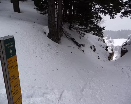 026 Voilà par où on est monté !