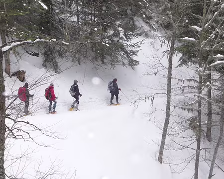 027 Redescente dans le brouillard