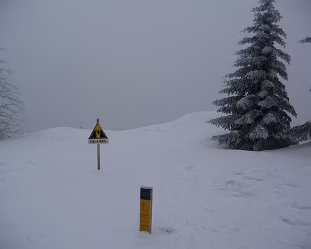 058 Non ...!!! Pas par là ... !!!