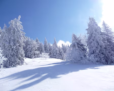 062z2239 et il fait beau !