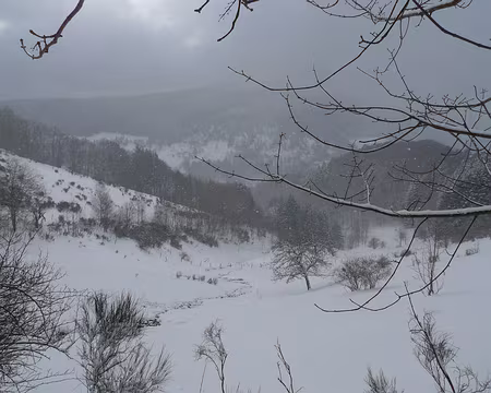 002 Quelques flocons nous mettent dans l'ambiance, juste au dessus du village du Bonhomme.