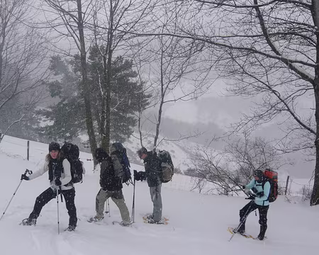 003 Au lieu-dit La Graude, au dessus du Bonhomme.