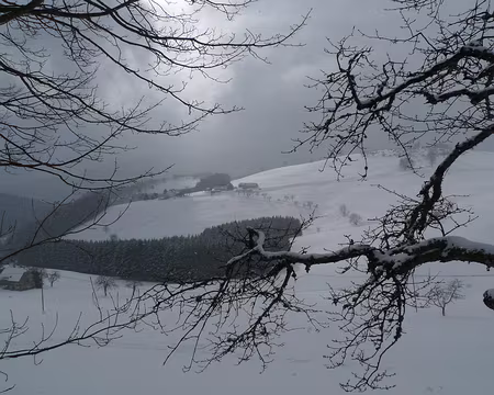 006 La Chaume de Faurupt