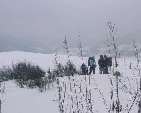 007 Premières explications, sous un ciel laiteux.
