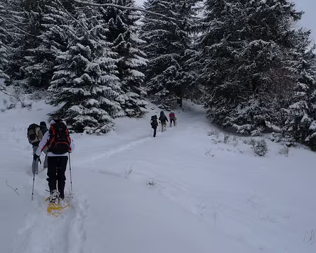 008 Le plaisir de la première trace, à travers les bois...