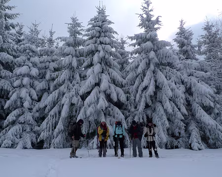010 Les grands (arbres) derrière, les petits (participants) devant !