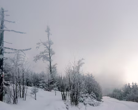 012 La féérie, acte 1.