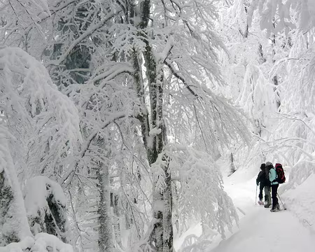 014z2240 La féérie, acte 2.