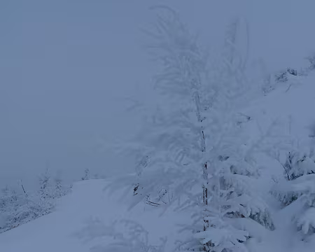 015 Féérie monochromatique.