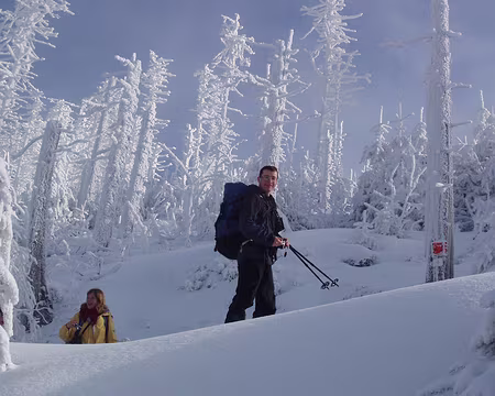 016 Le climat local régnant au Grand Brézouard, sommet le plus élevé au nord du massif des Hautes-Vosges, a provoqué ce givrage intégral et irréel des arbres.