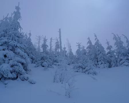 018 La féérie, acte 3.