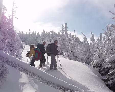 019 Le soleil perce.