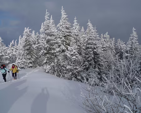 024 ... de surgir au sommet du Grand Brézoire.
