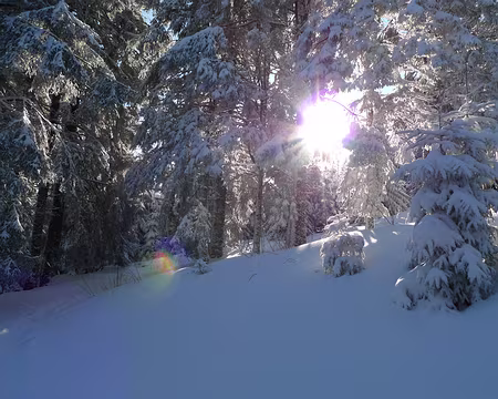 025 Jeux de lumière et de neige.