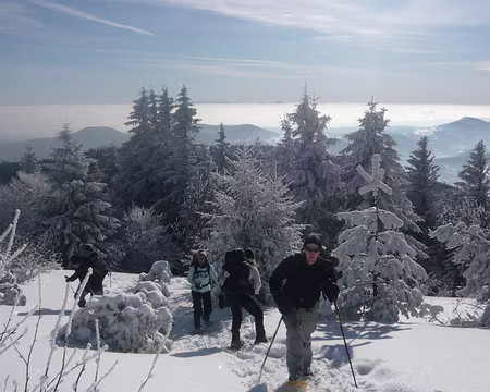 029 Montée à la Tête des Faux. Tout au loin, les grands sommets des alpes suisses.