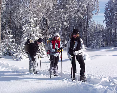 031 En rejoignant la Tête des Immerlins.