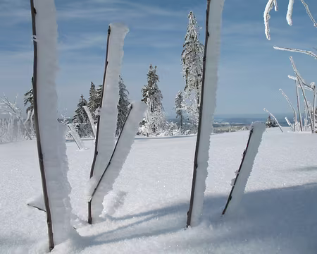 032 Flammes de givre.