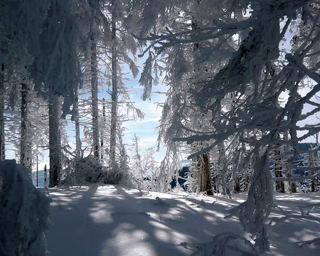 033 Jeux de lumière et de neige (encore...)