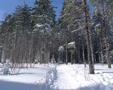 037 En descendant au Col du Calvaire