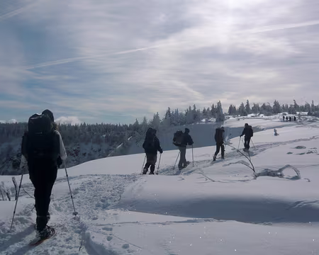 039 Sur les Hautes Chaumes de Gazon-Faing.