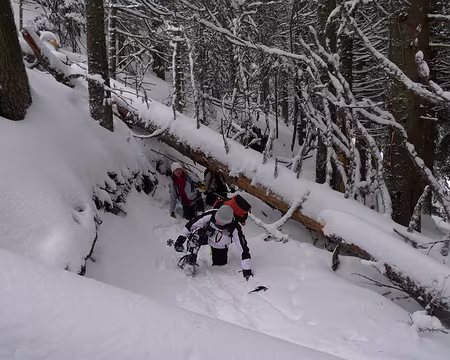 045 ... où les obstacles s'accumulent sur notre chemin !