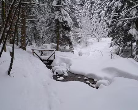 052 Paysage enchanteur en montant au Col des Faignes.