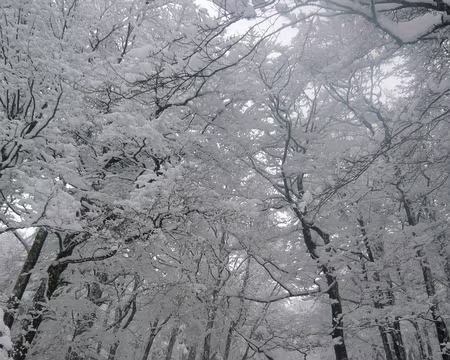 053 La féérie, acte 5.