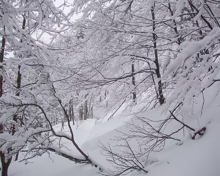 054 Le paradis blanc chanté par Miche Berger, est-ce là, sur ce petit sentier-balcon du Haut Chitelet ?