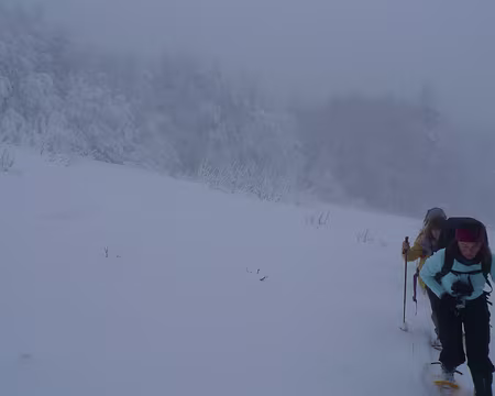 055 Ambiance, en montant au refuge des Trois-Fours.