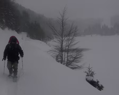 056 Le long du lac de la Lande, un jour gris.