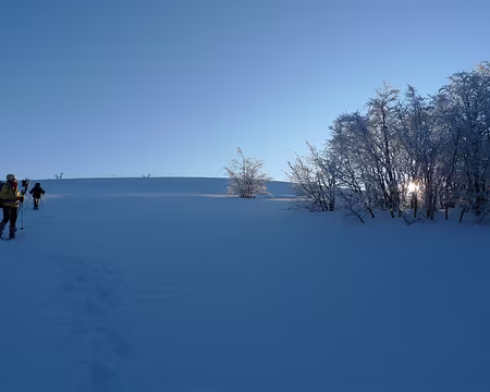 059 Ombres et lumières au petit matin.