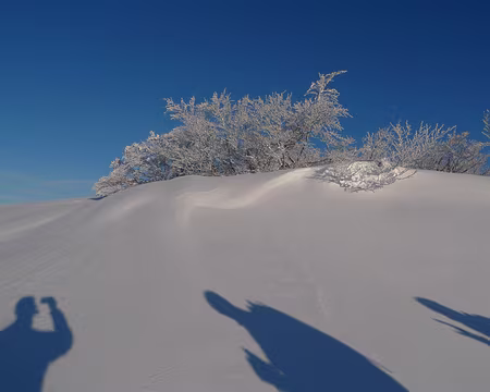 061 Composition picturale en bleu et blanc.