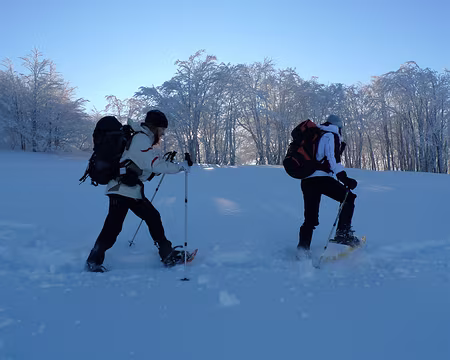 064 En avant, d'un bon pas, vers...