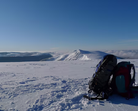 075 Du sommet du Rainkopf, vue sur le Rothenbachkopf.