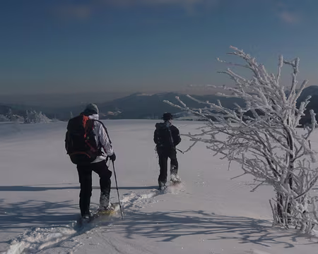 076 C'est parti pour la descente !