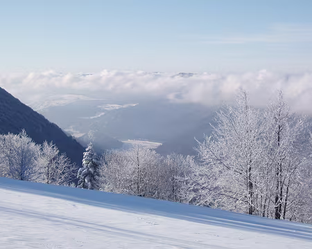 077 Vue sur le Lac de Kruth et sur le promontoir du château de Widenstein (en ruine).