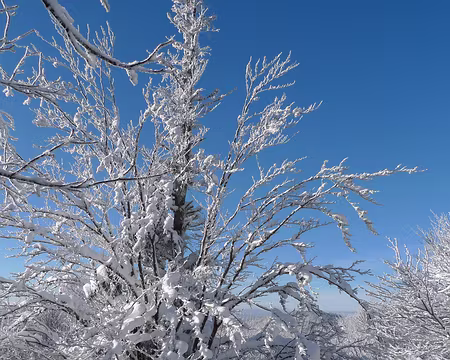 079 Composition picturale en bleu et blanc (encore...)