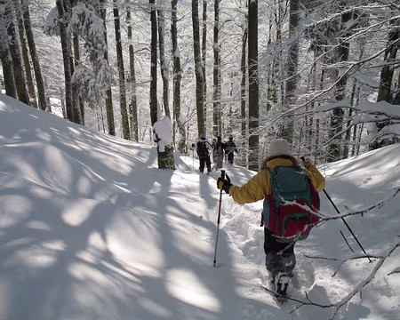 080 Descente abupte vers le Col de l'Etang, près des tourbières de Machais.