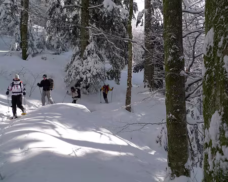 085 En allant au Col de Bramont.