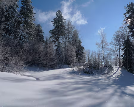 086 En allant au Col de Bramont.