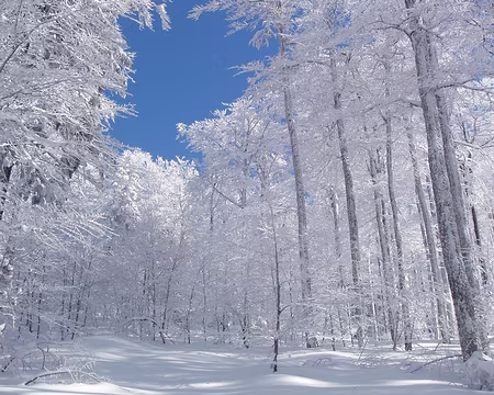 090 On ne s'en lasse pas !