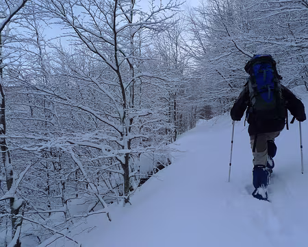 099 Le lendemain, Gérard à la trace pour monter au Col d'Hahnenbrunnen.