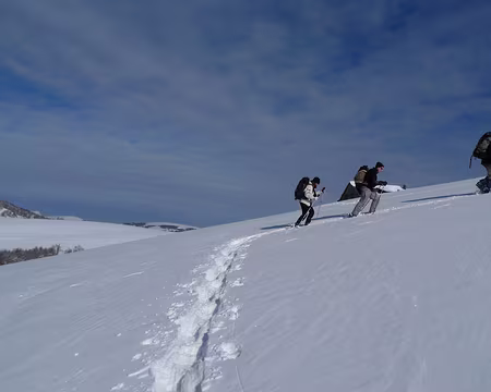 102 Sur la Chaume d'Hahnenbrunnen.