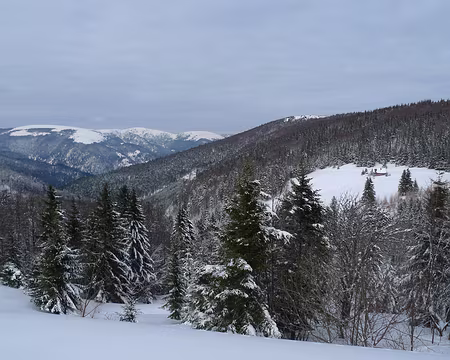 107 Chalet au milieu de sa chaume. Tout au fond, le Hohneck.