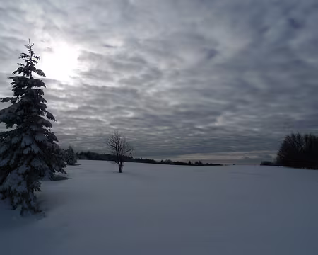 111 Composition picturale en nuances de gris.